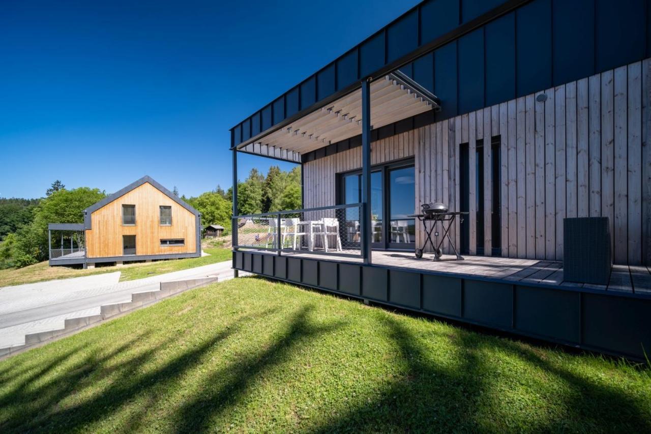 Apartman U Hajenky 429 Lipno nad Vltavou Buitenkant foto